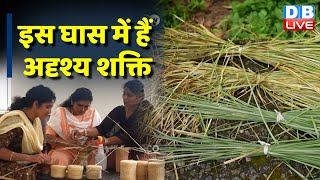 खुशबूदार खसखस लगाने के फायदे [Vetiver grass weavers help combat soil erosion | Eco India | #dbiive