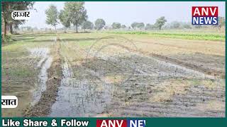 प्रदेश भर में चल रही बूंदाबांदी और बरसात का फसलों पर पड़ेगा सकारात्मक प्रभाव। Haryana | Latest News