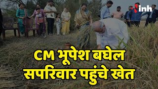 CM Bhupesh Baghel सपरिवार पहुंचे खेत | लुआई को अंतिम रुप देते हुए बढ़ौना रस्म का निर्वहन किया