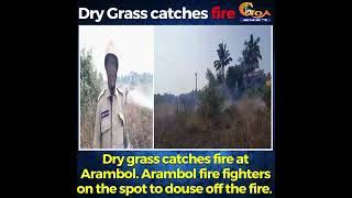 Dry grass catches fire at Arambol. Arambol fire fighters on the spot to douse off the fire.