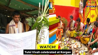 #Watch! Tulsi Vivah celebrated at Korgao