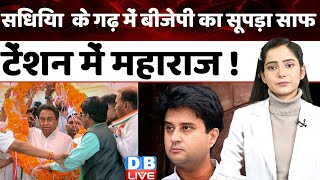 Jyotiraditya Scindia के गढ़ में BJP का सूपड़ा साफ | Madhya Pradesh | Modi Sarkar | Congress |#dblive