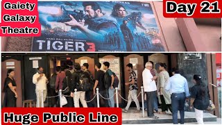 Tiger 3 Movie Huge Public Line Day 21 At Gaiety Galaxy Theatre In Mumbai