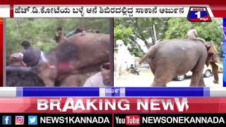 ಅರ್ಜುನ ಮತ್ತೆ ಹುಟ್ಟಿ ಬಾ..#arjuna #elephant #death #news1kannada #mysuru #bengaluru | @News1Kannada