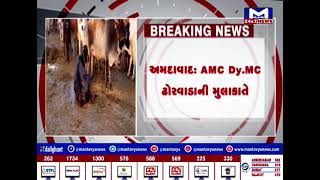 અમદાવાદ :  AMC Dy.MC દાણીલીમડા ઢોરવાડાની મુલાકાતે પહોંચ્યા | MantavyaNews