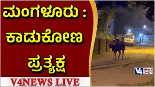 ಮಂಗಳೂರಿಗೆ ಬಂದ ಕಾಟಿ ಕೊಟ್ಟ ಎಚ್ಚರಿಕೆ ಏನು? || KAADUKONA || V4NEWS