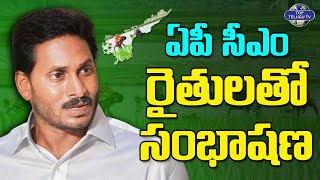 LIVE????: CM Jagan Visit Mirchi Crop Damages due to Cyclone & Interact with Farmers | Top Telugu Tv