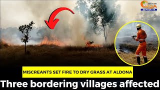 Miscreants set fire to dry grass at Aldona. Three bordering villages affected