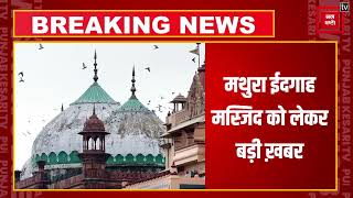 Mathura ईदगाह मस्जिद का होगा सर्वे, High Court ने दी मंज़ूरी | Mathura Idgah Masjid Case
