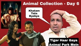 Tiger 3 Ko Harakar Animal Nikla 300 Cr Ke Aage, Tiger 3 Box Office Collection Day 6