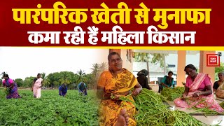 ऐसे पारंपरिक खेती से मुनाफा कमा रही हैं महिला किसान | Women Farmers | Southern India