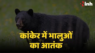 kanker में भालुओं का आतंक | दूकान में अचानक घुसा, इलाके में मचा हडकंप | Chhattisgarh News | CG News