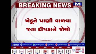 સાબરકાંઠા : તલોદમાં ખેતરમાંથી દિપડો ઝડપાયો | MantavyaNews