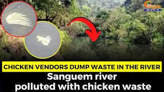 Chicken vendors dump waste in the river. Sanguem river polluted with chicken waste
