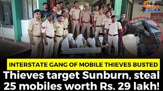 Interstate gang of mobile thieves busted by Goa Police. Thieves target Sunburn.