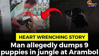 Heart wrenching story | Man allegedly dumps 9 puppies in jungle at Arambol
