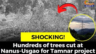#Shocking! Hundreds of trees cut at Nanus-Usgao for Tamnar project