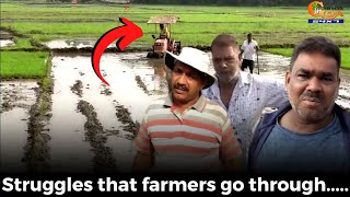 #MustWatch- Struggles that farmers go through.....#Goa #GoaNews #struggles #farmers #farming