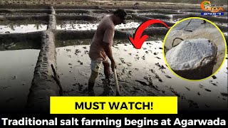 #MustWatch! Traditional salt farming begins at Agarwada