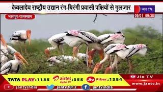 Bharatpur Raj. News | केवलादेव राष्ट्रीय उधान रंग-विरंगी प्रवासी पक्षियों से गुलजार | JAN TV