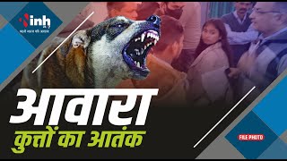 Bhopal में कुत्तों का आतंक, डेढ़ घंटे में करीब 21 लोगों को काट कर फिजा में मचाया खौफ़ का माहौल