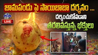 LIVE????: జామపండు పై సాయిబాబా దర్శనం ...దర్శించుకోవడాని తరలివస్తున్న భక్తులు | Warangal | Top Telugu TV