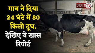 Karnal : इस गाय ने 24 घंटे में दिया करीब 80 किलो दूध, तोड़े सारे रिकॉर्ड, देखिए ये खास रिपोर्ट