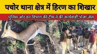 राजगढ के पचोर थाना क्षेत्र में हिरण का शिकार करने वाले दो युवक को भेजा जेल