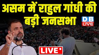असम में राहुल गांधी की बड़ी जनसभा | Rahul Gandhi Bharat Jodo Nyay Yatra | Public Meeting | #dblive