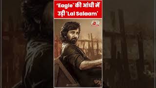 Ravi Teja की 'Eagle' की आंधी में उड़ी Rajnikant की 'Lal Salaam' #shorts #ytshorts #viralvideo