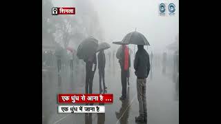 Shimla | Fog | Waving Umbrellas |