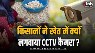 Chhindwara News | छिंदवाड़ा में क्यों टेंशन में आए किसान, 'CCTV' से  लेनी पड़ रही मदद