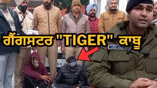 ਗੁਰਦਾਸਪੁਰ ਪੁਲਿਸ ਨੇ ਗੈਂਗਸਟਰ "TIGER" ਕੀਤਾ ਗਿਰਫ਼ਤਾਰ।। Gurdaspur Shelly case solved police|| Punjab news