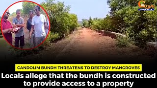 Candolim bundh threatens to destroy mangroves.
