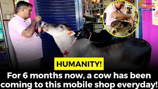 #Humanity! For 6 months now, a cow has been coming to this mobile shop everyday!