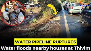 Water pipeline ruptures at Thivim. Water floods nearby houses