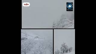 Lahul / snowfall/ Himachal