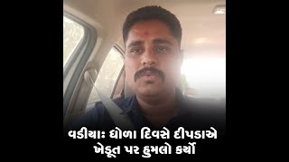 વડીયા : ધોળા દિવસે દીપડાએ ખેડૂત પર હુમલો કર્યો