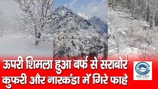 Snowfall | Weather | Shimla |