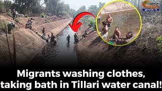 #Watch!- Migrants washing clothes, taking bath in Tillari water canal!