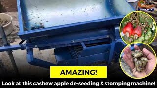 #Amazing! Look at this cashew apple de-seeding & stomping machine!