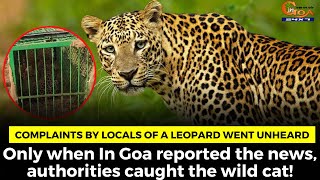 Numerous complaints by locals of a leopard went unheard
