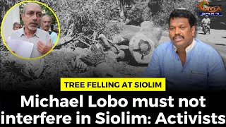 Tree felling at Siolim- Michael Lobo must not interfere in Siolim: Activists