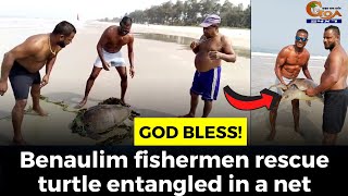 #GodBless! Benaulim fishermen rescue turtle entangled in a net