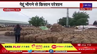 Raisinghnagar Raj | गेहूं भीगने से किसान परेशान,खुले में पड़े गेहूं के थैले बरसात से भीगे | JAN TV