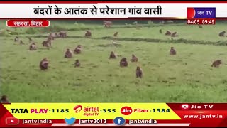 Saharsa Bihar, बंदरों के आतंक से परेशान ग्रामीण,जो दिलाएगा बंदरों के आतंक से निजात वोट उसी को देंगे