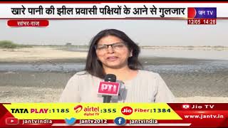 Sambhar News | खारे पानी की झील प्रवासी पक्षियों के आने से गुलजार | JAN TV
