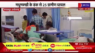 Jagdalpur Chhattisgarh | मधुमक्खी के डंक से 25 ग्रामीण घायल,6 गंभीर... महारनी हॉस्पिटल में इलाज जारी