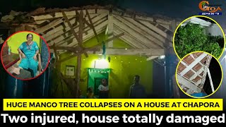 Huge mango tree collapses on a house at Chapora. Two injured, house totally damaged