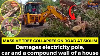Massive tree collapses on road at Siolim. Damages electricity pole, car & A compound wall of a house